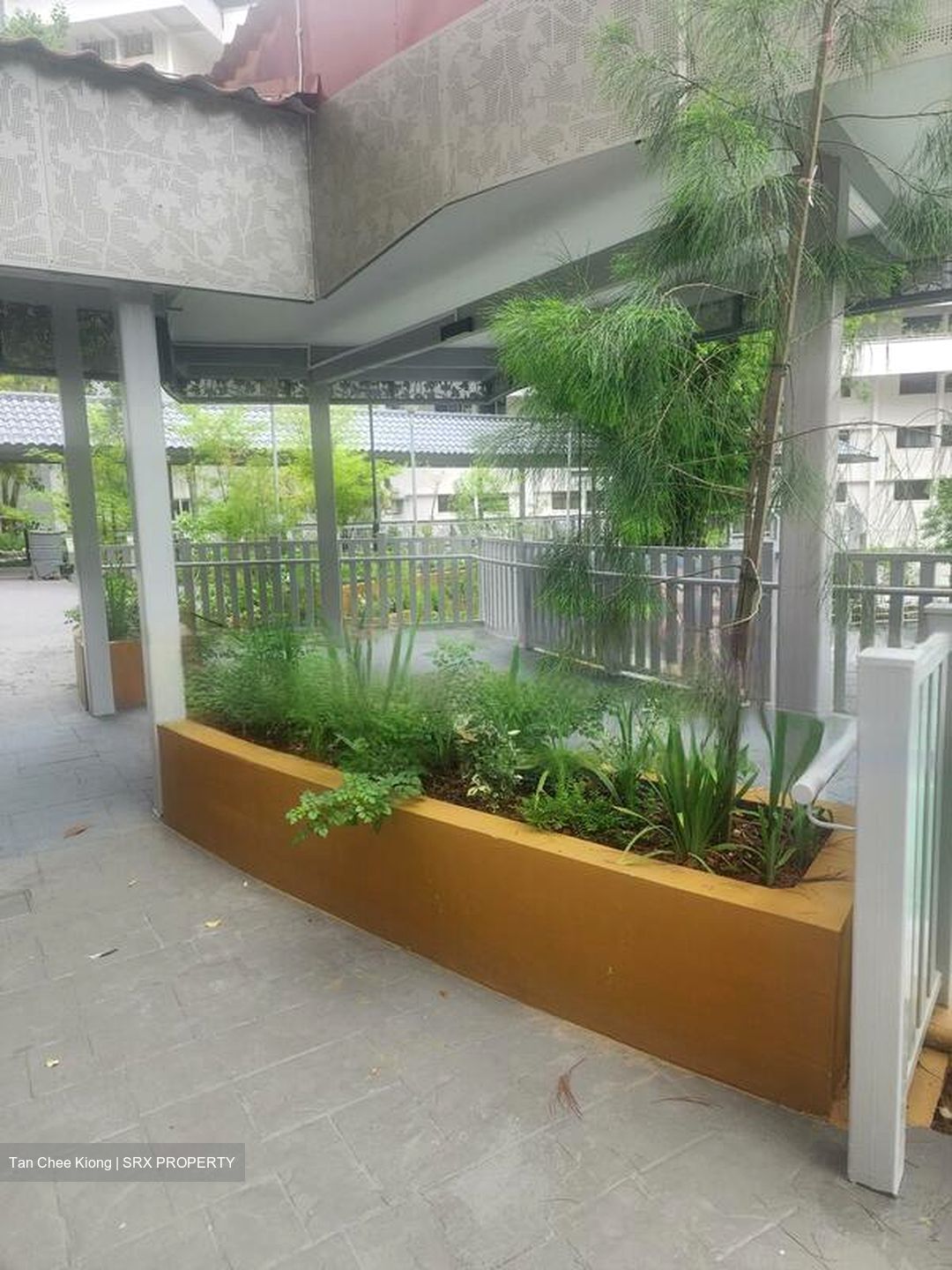 Blk 172 Ang Mo Kio Avenue 4 (Ang Mo Kio), HDB 3 Rooms #459387621